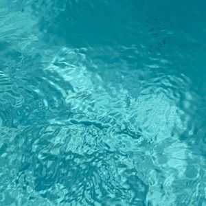 Meet your Posher, Yaquelin